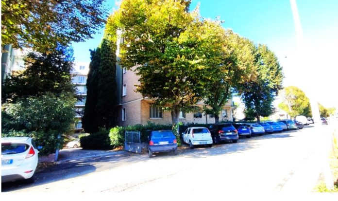 comunicato stampa abbattimento alberi-1