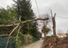 Maltempo, una trentina gli interventi nel Pesarese, in particolare a Cagli