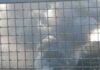 In fiamme un mezzo pesante sulla A14 a Fano