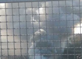 In fiamme un mezzo pesante sulla A14 a Fano