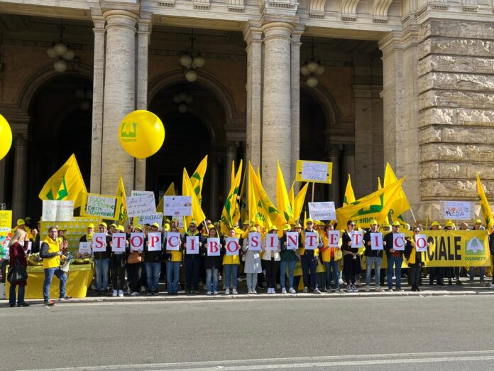marchigiani alla manifestazione di roma (2)