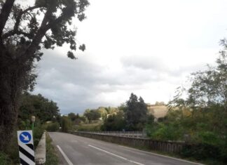 Sp 5 Mondaviese, lavori di messa in sicurezza del ponte tra Fossombrone e Ghilardino