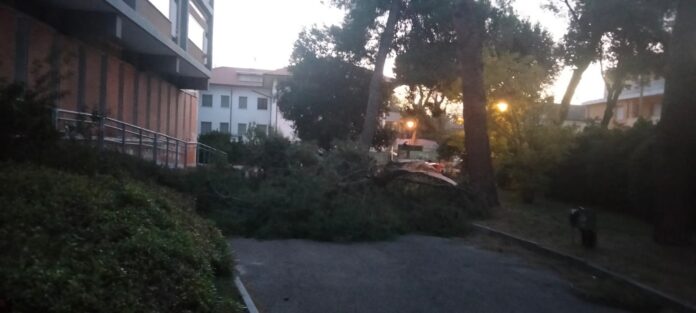 IMG-20231202-WA0077