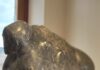 Museo Archeologico delle Marche: riapre oggi la sezione “romana” a 51 anni dal sisma del 1972