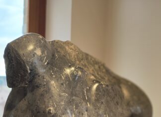Museo Archeologico delle Marche: riapre oggi la sezione “romana” a 51 anni dal sisma del 1972