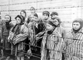 Giorno della Memoria: il CUG dell’Università di Urbino riflette sulla parola “antisemitismo”