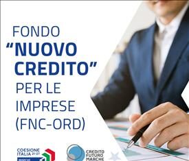 Bando per favorire investimenti e liquidità, la Regione stanzia i primi 20 milioni
