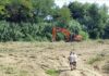 Mitigazione del rischio idraulico, la Regione Marche stanzia ulteriori 1.599.420 euro per sei progetti