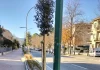 La Bcc Metauro ha contribuito ai lavori di rifacimento di Viale Martiri della Resistenza a Fossombrone