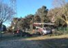 Fano, cure drastiche per gli alberi dell’Ospedaletto