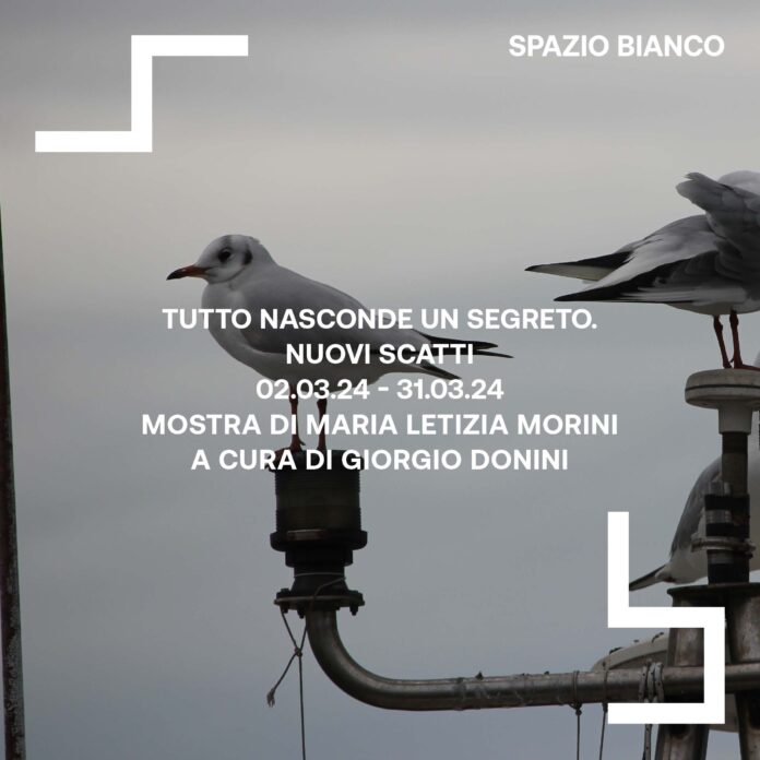 Invito mostra Maria Letizia Morini allo spazio bianco