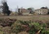 La Lupus in Fabula: “A Fano la Circonomia del cemento”