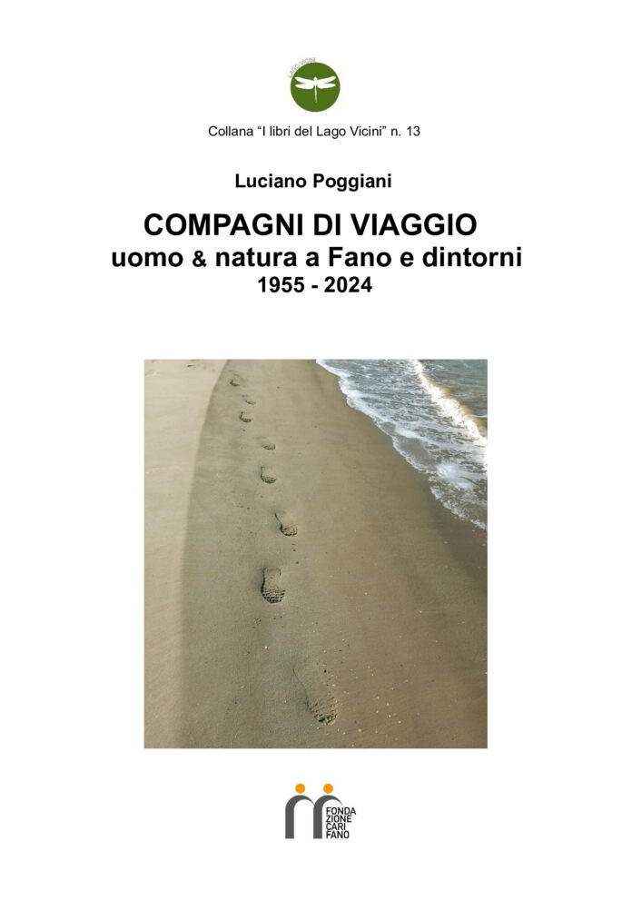 b867481afda4c54941d7969d48c28018-0