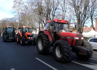 Cortei di protesta con trattori a Fano per due giorni