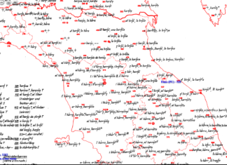 Approvata la mozione Scopelliti per la tutela del dialetto fanese