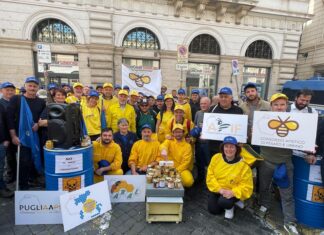 Apicoltura italiana a rischio collasso: apicoltori marchigiani al Sit-in a Roma