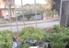 Colli al Metauro: muore donna 84enne in scooter investita da un’auto