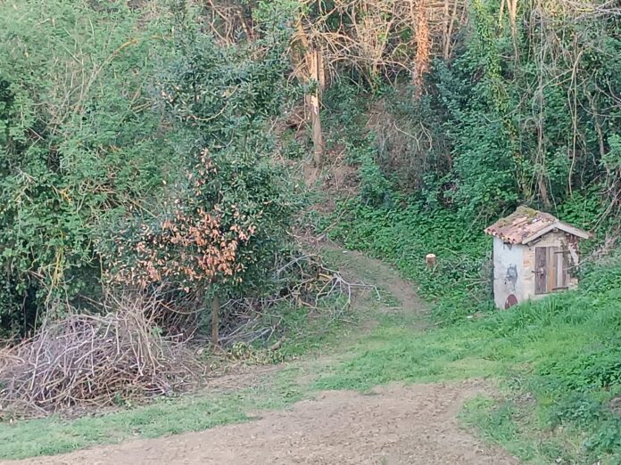 Luogo dell'incidente