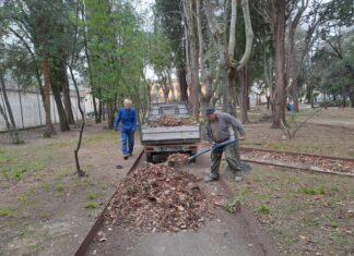 Riaperto il parco Carloni a Fossombrone dopo i danni provocati dalle tempeste di vento