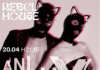 Pergola, da X Factor a Rebel House: sabato si chiude la stagione con gli Animaux Formidables