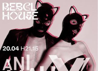 Pergola, da X Factor a Rebel House: sabato si chiude la stagione con gli Animaux Formidables