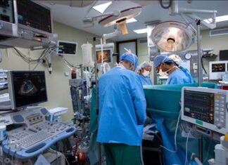 Donazione organi, nel 2023 attività in crescita nelle Marche: indice del dono, al secondo posto c’è il comune di Cantiano