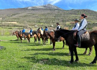 Cantiano Fiera Cavalli, svelato il programma: grandi ospiti dal mondo dell’equitazione e tante attività outdoor
