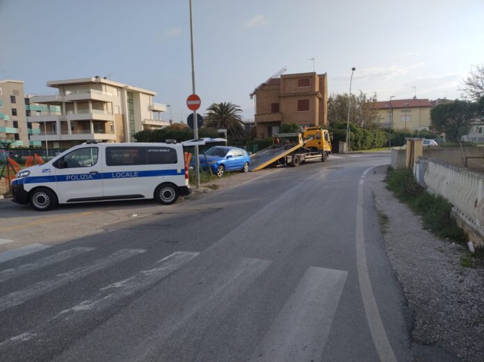 Immagine WhatsApp 2024-04-11 ore 00.00.41_52b55600
