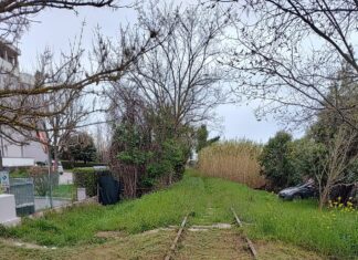 Pulizia ex ferrovia Fano-Urbino, Pollegioni (Udc): “Il Prefetto interviene presso Rfi”