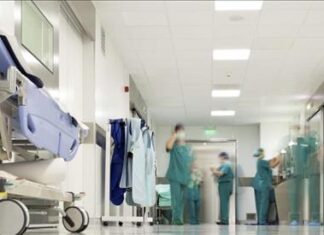 Istituita nelle Marche la Rete Ematologica Regionale, equità di accesso e presa in carico globale dei pazienti