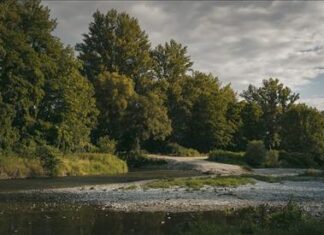Convenzione per interventi di manutenzione nei bacini idrografici della provincia di Pesaro-Urbino