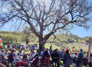 Alter-Art, nel verde di Montaiate di Pergola il 2 giugno mostre, danza, laboratori e il concerto di Gnut