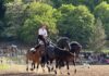 La seconda edizione di primavera conferma Cantiano Fiera Cavalli tra gli eventi top del mondo equestre italiano