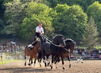 La seconda edizione di primavera conferma Cantiano Fiera Cavalli tra gli eventi top del mondo equestre italiano