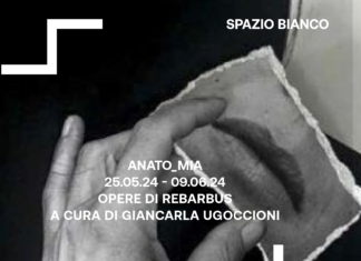 A Pesaro ANATO_mia, personale di Rebarbus