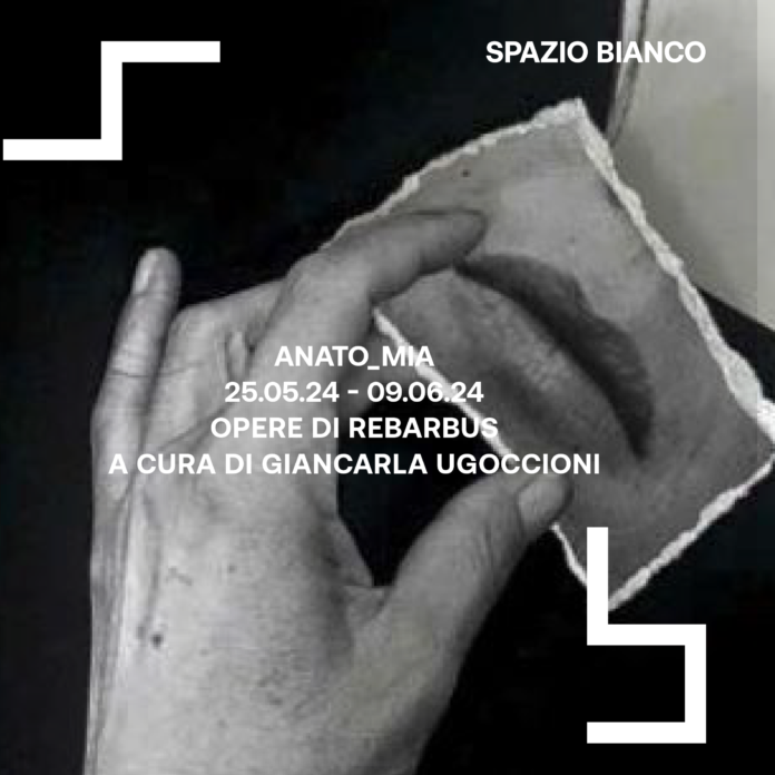PS24-spazio-bianco-social-01