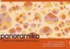 Panoramika: ad Acqualagna il primo festival internazionale sul pane