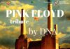 Esibizione della tribute band DNA Pink Floyd a Cagli