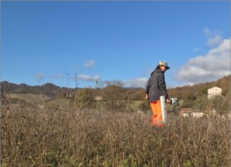 Enoturismo Marche: dalla vigna alla tavola: gli appuntamenti di Cantiano e Acqualagna con Gioachino Rossini opera food