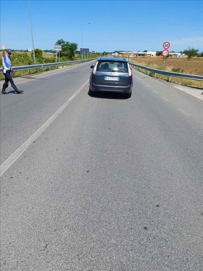 Immagine WhatsApp 2024-06-17 ore 17.47.12_ecf2859a