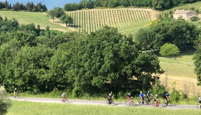 in bici nelle marche