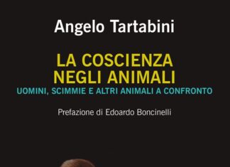 Biblioteche Co.Meta.: la coscienza negli animali, le goloserie e le letture per bambini