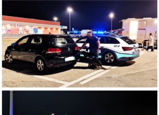 Controlli della polizia stradale di Pesaro su droghe e alcool: ritirate 6 patenti nel fine settimana