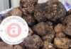 Acqualagna, tutto pronto per la 39esima Fiera regionale del tartufo nero estivo. Appuntamento al Parco la Golena al Furlo