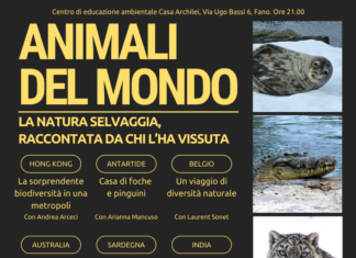 Fano, con l’associazione Naturalistica Argonauta alla scoperta della natura del nostro pianeta