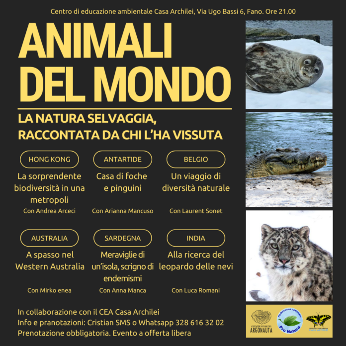 animali del mondo