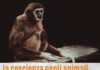 La coscienza negli animali. Un dibattito tra psicologia ed etologia con Angelo Tartabini a Montemaggiore