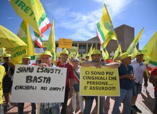 Cinghiali, oltre 2mila agricoltori in marcia, Coldiretti Marche: “La Regione ci ha ascoltati. Una vittoria storica per riportare equilibrio in natura, altrimenti impossibile andare avanti”