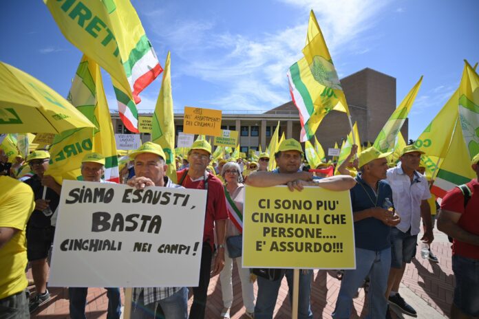manifestazione ancona (1)
