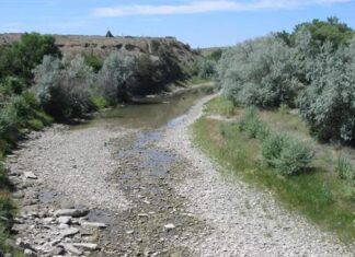 Rischio siccità nord Marche, invitati i Comuni ad adottare misure tempestive. Attenzionati i fiumi Metauro e Candigliano